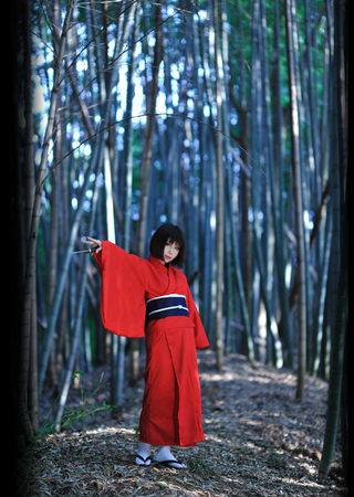 Illustration for article titled Who Needs Manga When There's Cosplay?